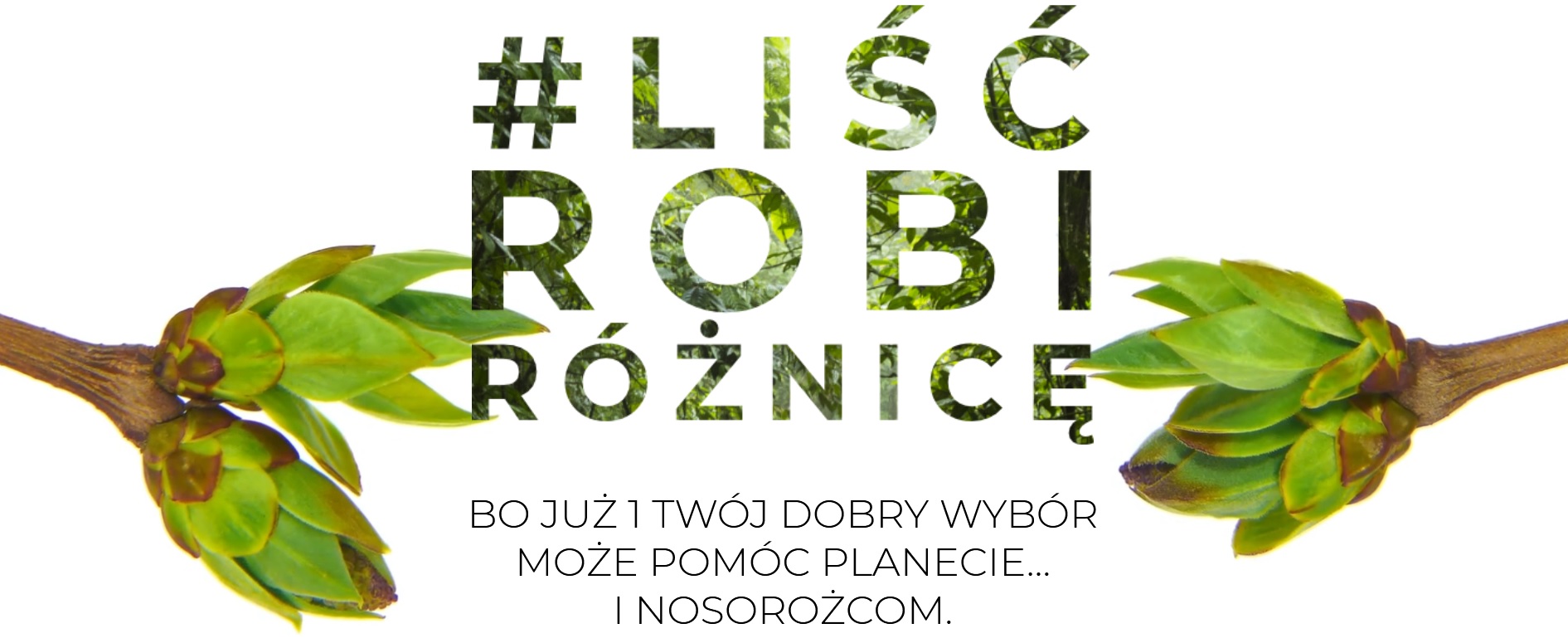 Lisc Robi Roznice banner